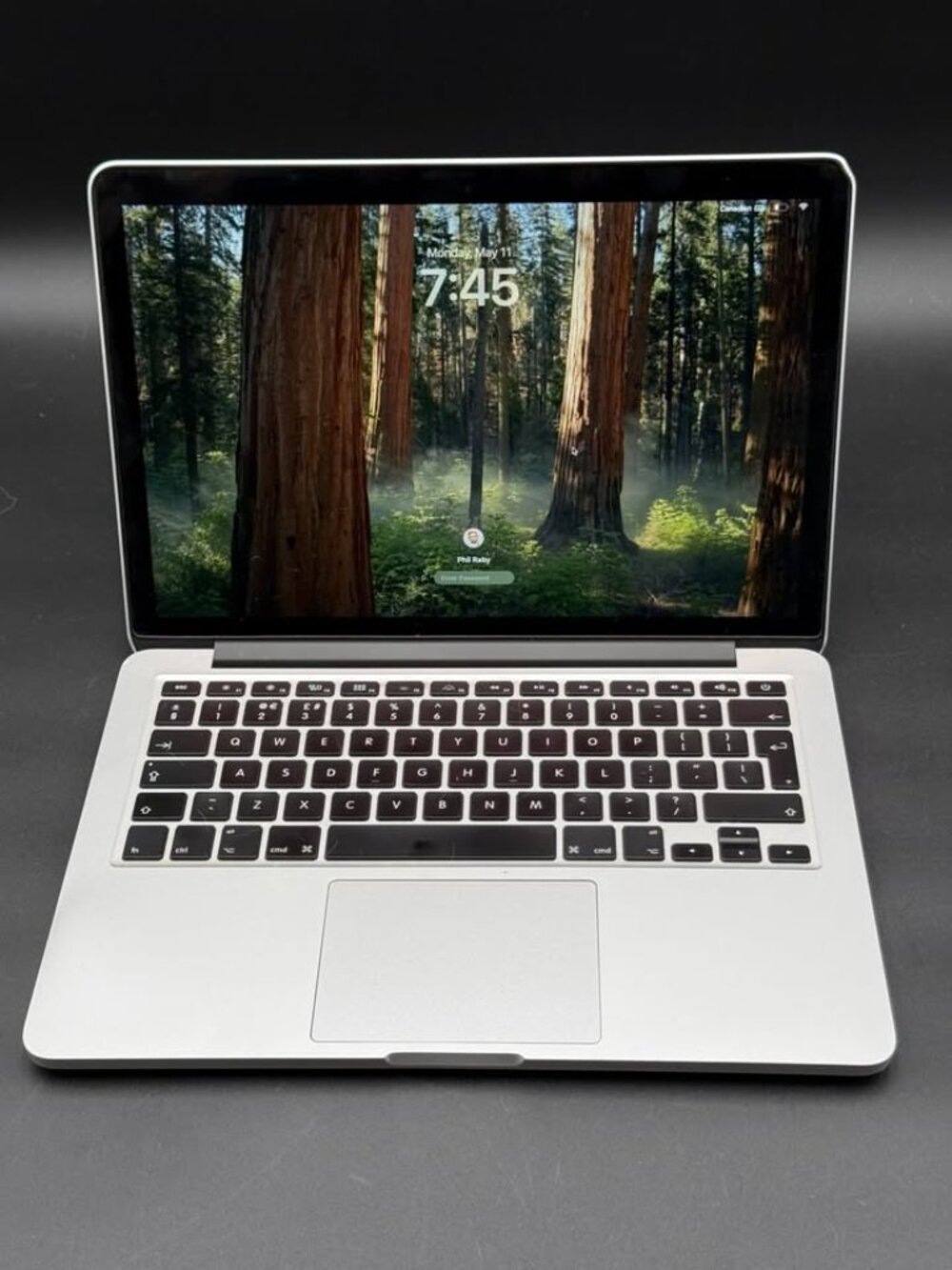2015 13" MacBook Pro with charger